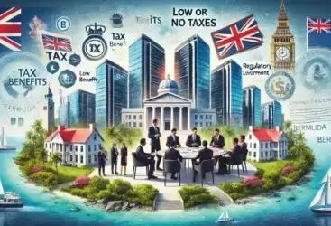 Image : Why Bermuda is a Global Hub for International Business and Finance Innovation Stability and Global Connectivity