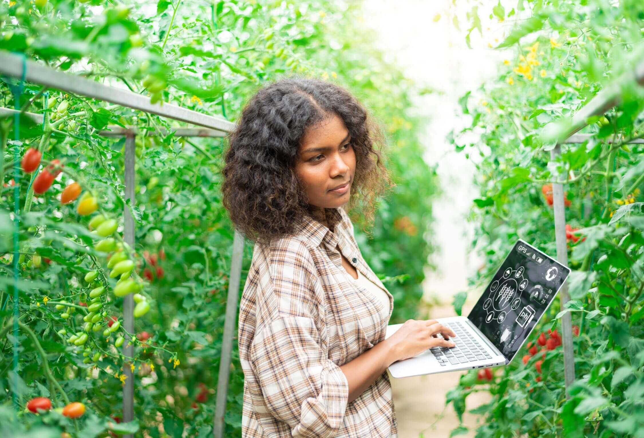 Greenhouse Farming