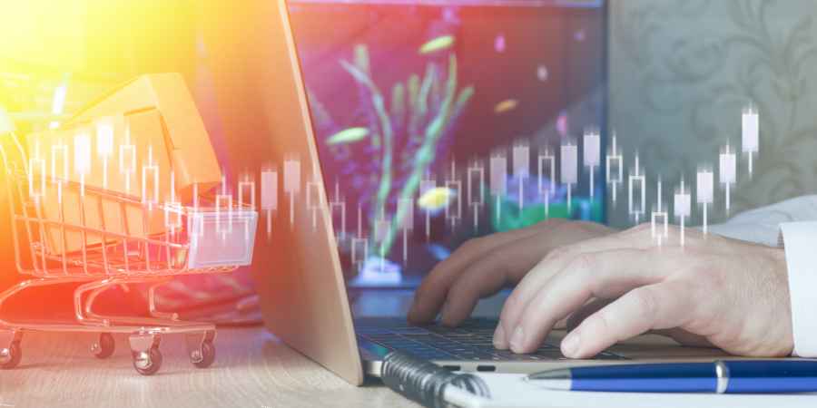 Digital Service Platforms