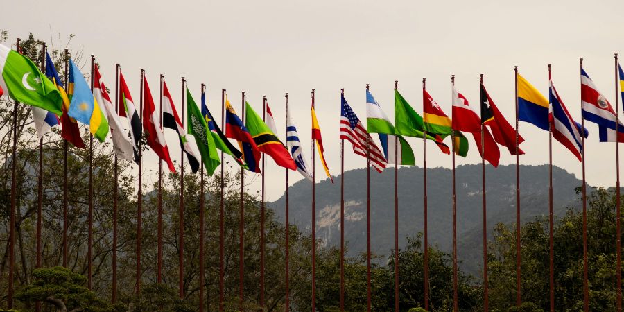 What Globally Mobile Adults Should Know About Estate Disputes