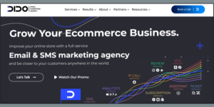 Image : Best 5 DTC Email Marketing Agencies for Customer Retention 2026 2