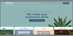 Best 5 DTC Email Marketing Agencies for Customer Retention (2026)
