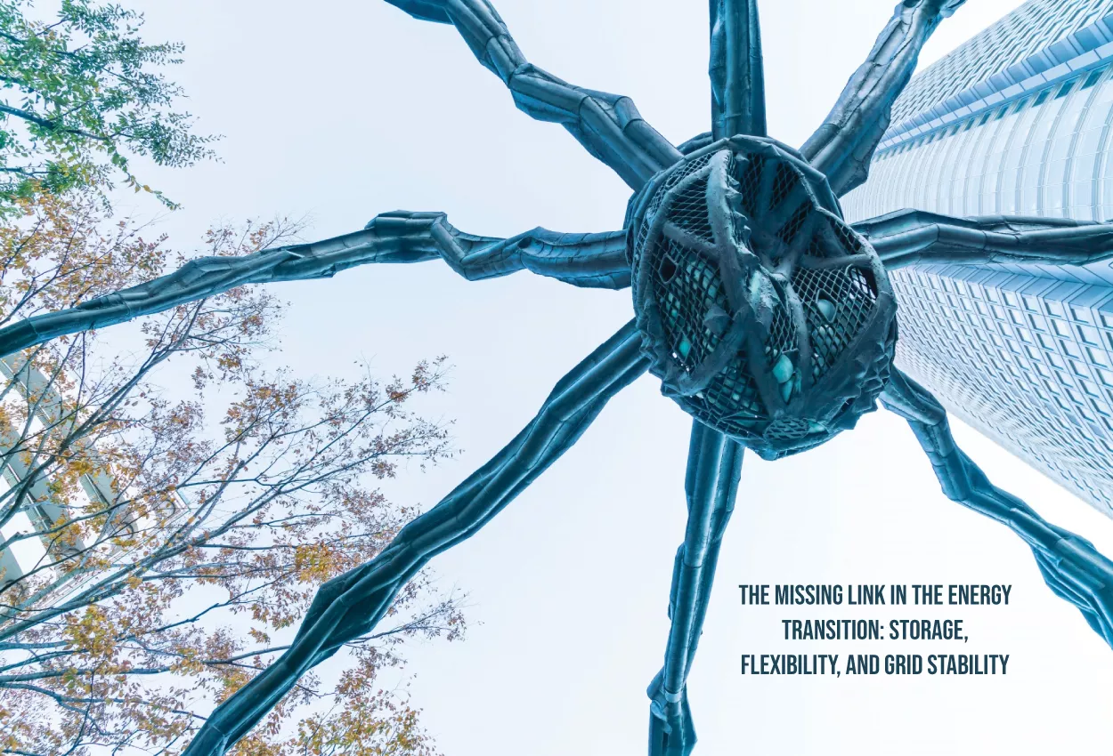 The Missing Link in the Energy Transition: Storage, Flexibility, and Grid Stability