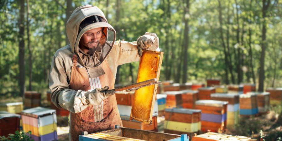 Honey Hunters