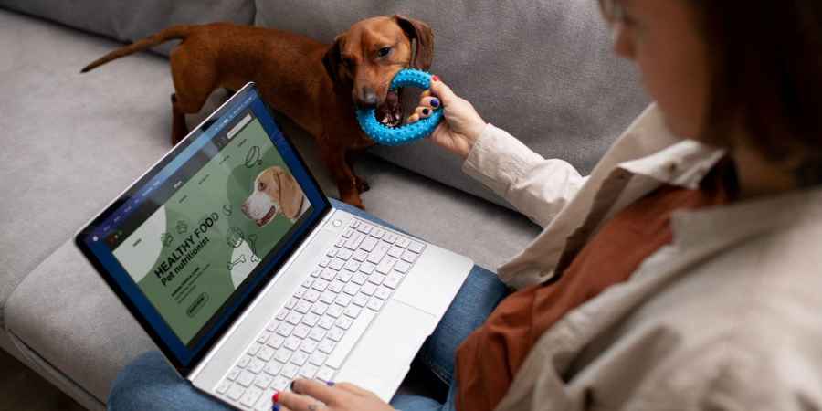 Pet Owners