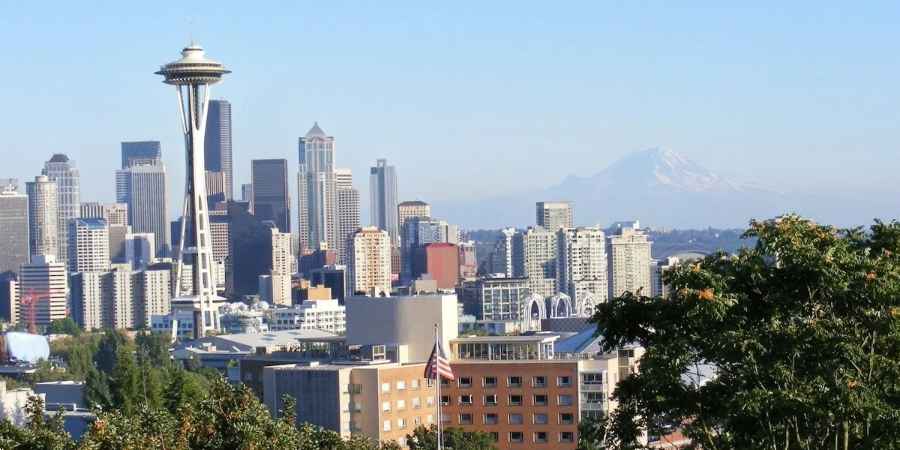 Landscaping for Drainage — How Grading and Plants Work Together in Seattle Yards 1 Landscaping for Drainage